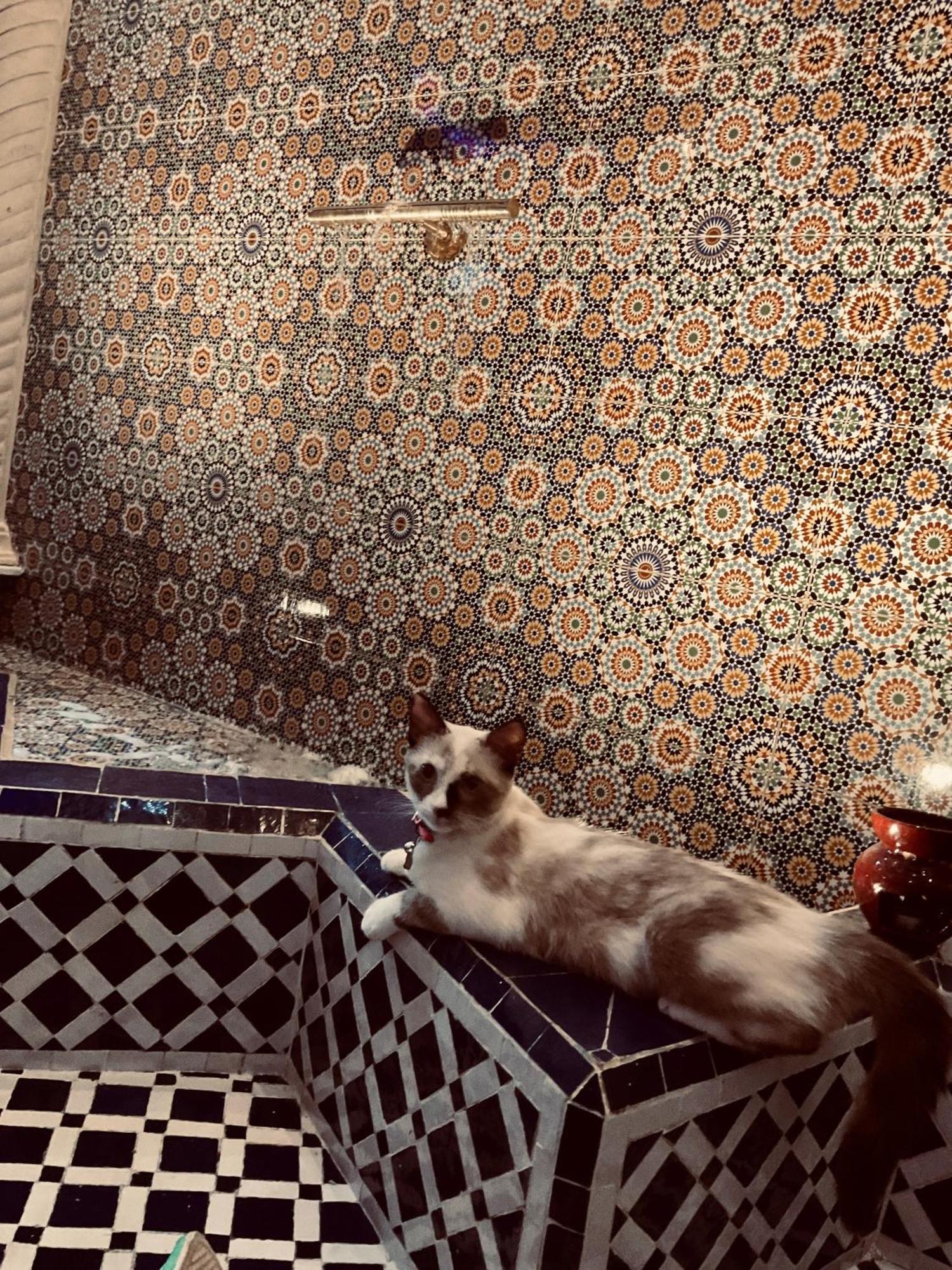 Riad Lalla Merieme Marrakesh Bagian luar foto